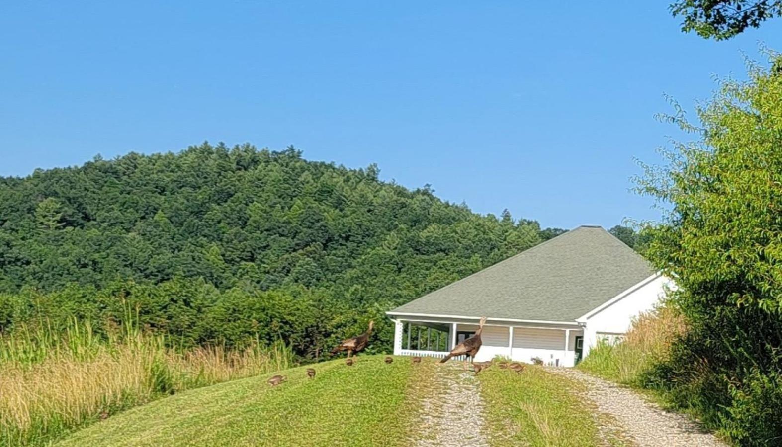 Vila Mountain Retreat House To Relax And Enjoy Lenoir Exteriér fotografie